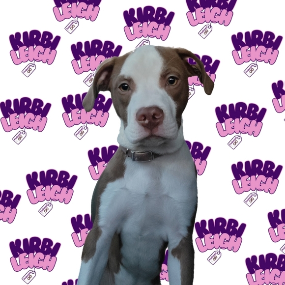 Meet your Posher, Kirbi Leigh - Picture 4 of 4